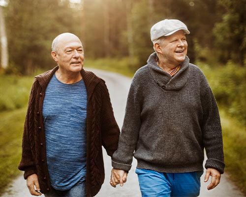 Two older men walking down a country road holding hands